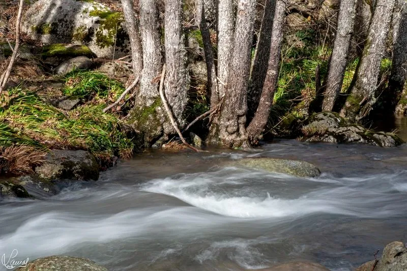 Imágenes de 'El Canalizo', en la Sierra de Béjar. Fotos: Manuel Lamas