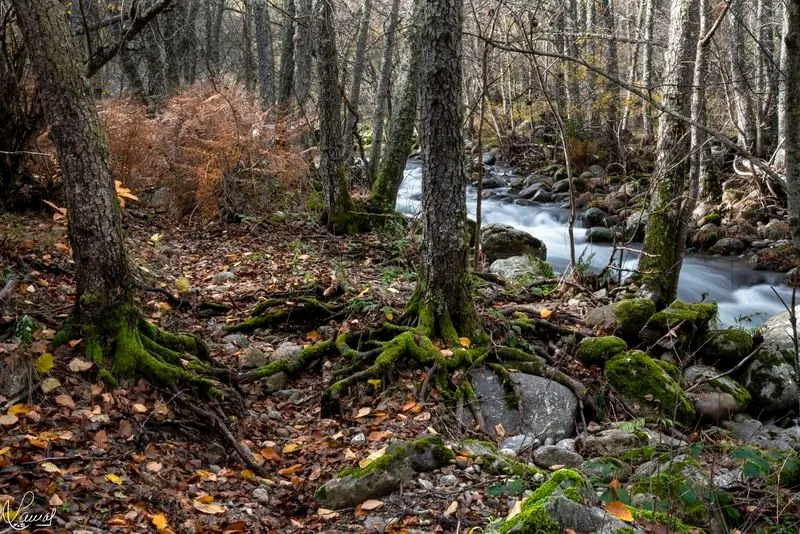 Imágenes de 'El Canalizo', en la Sierra de Béjar. Fotos: Manuel Lamas