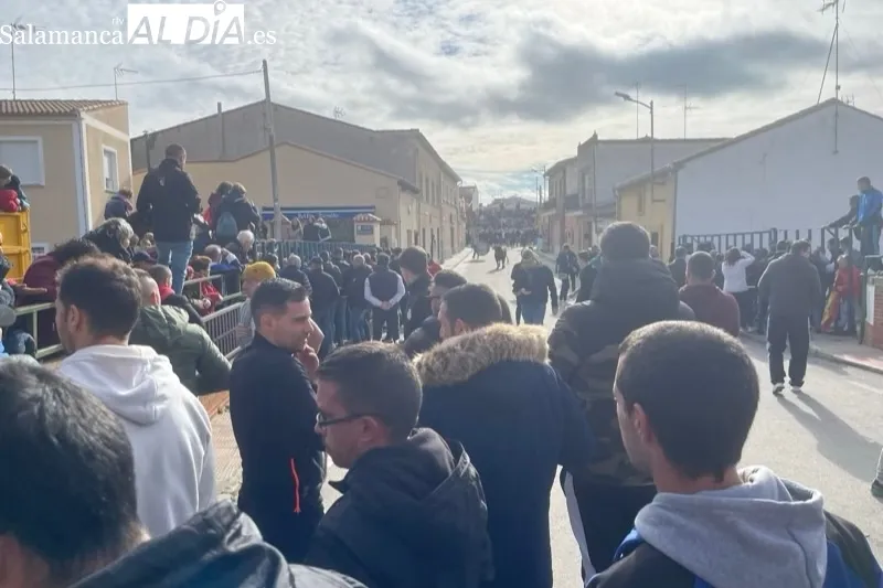 Cantalapiedra vivía un animado Toro de Cajón este sábado