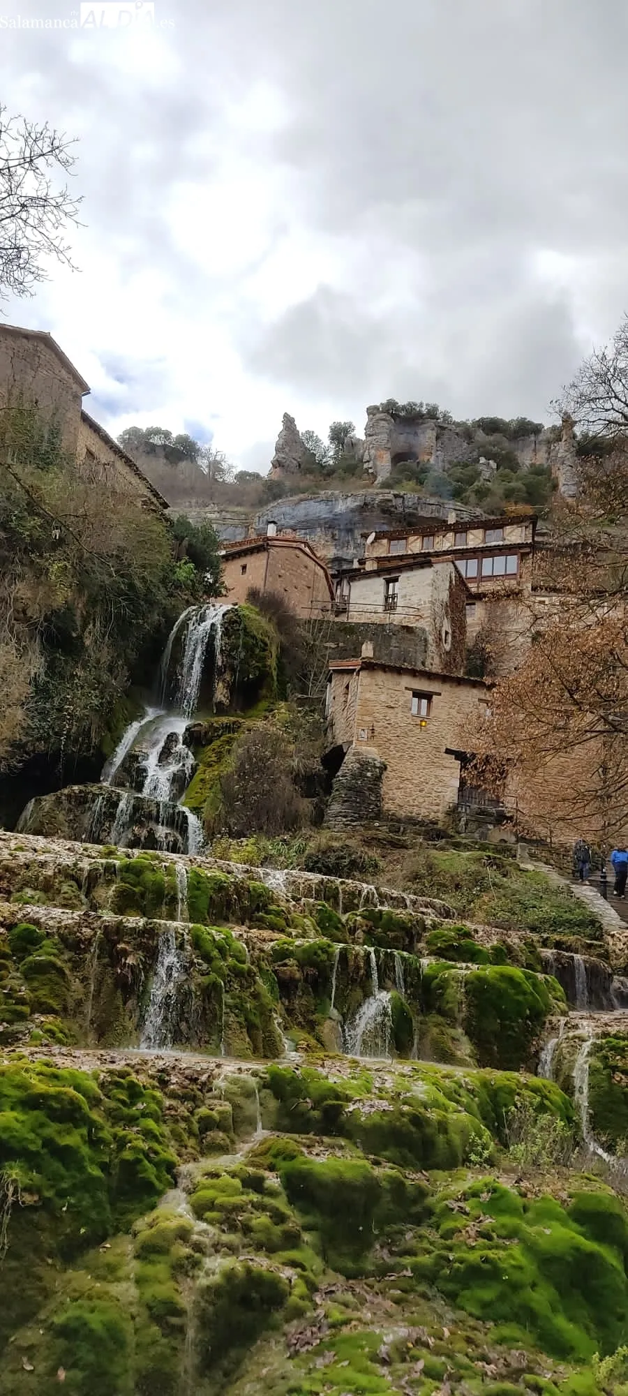 La Hermandad de Cofradías rendía homenaje a Agustín Martínez Soler