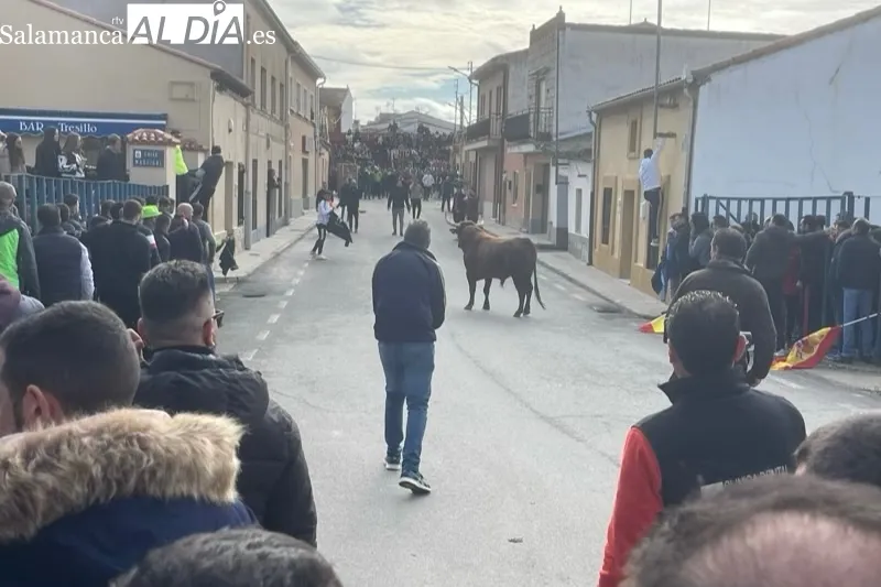 Cantalapiedra vivía un animado Toro de Cajón este sábado