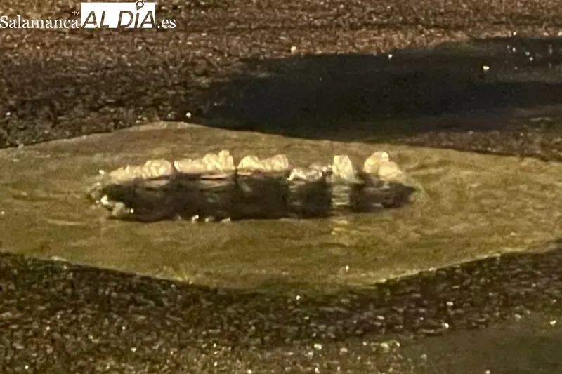 La fuerte tormenta inundaba los accesos a Peñaranda desde la Avenida de Salamanca