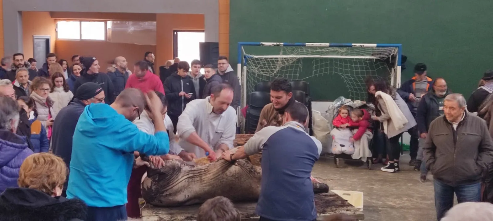 Cantalapiedra ha celebrado este jueves su Matanza Típica