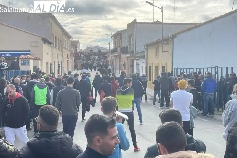 Cantalapiedra vivía un animado Toro de Cajón este sábado