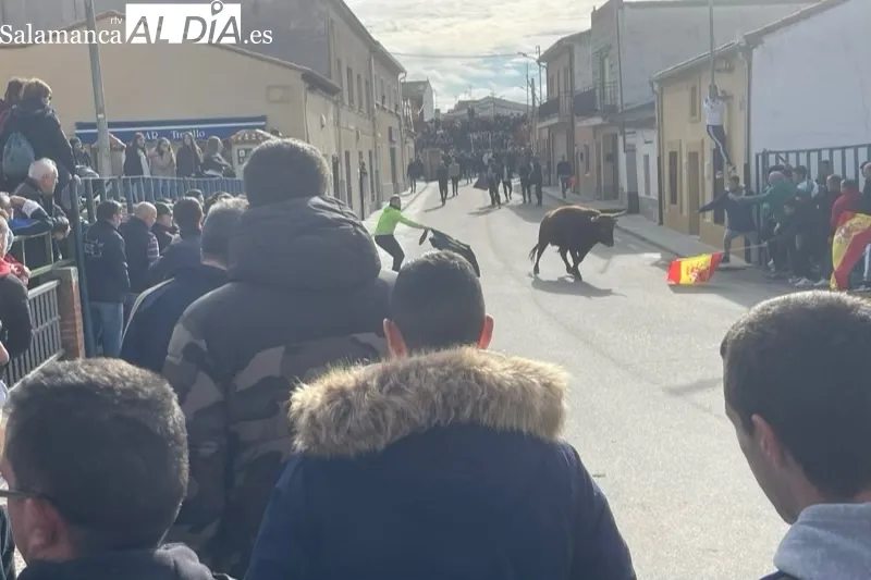Cantalapiedra vivía un animado Toro de Cajón este sábado