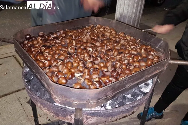 Macotera celebraba este sábado la Fiesta de la Castaña
