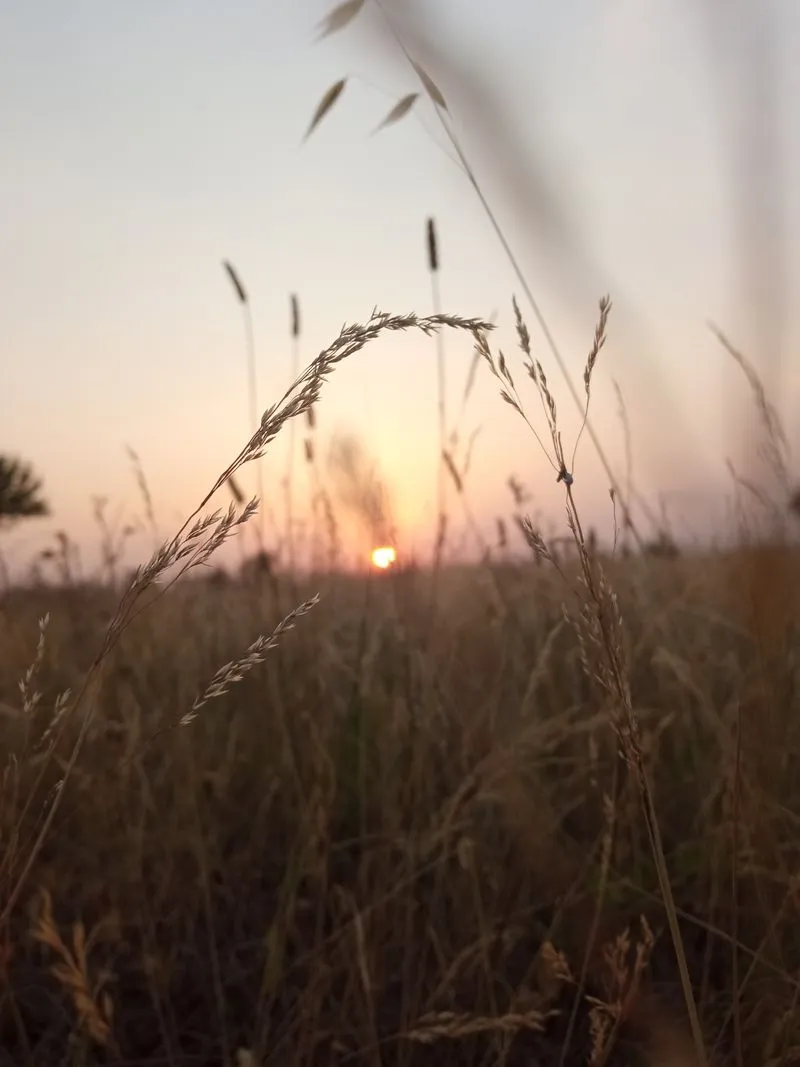 Ganadora Categoría Infantil: “Atardecer” de Mónica Fernández Benito.