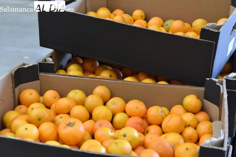Foto 3 - &ldquo;Las necesidades de Salamanca est&aacute;n aumentando&rdquo;, explican desde el Banco de Alimentos