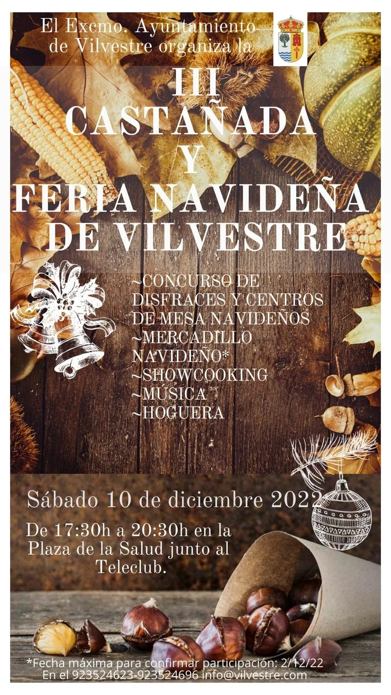 Foto 2 - La III Casta&ntilde;ada y la Feria Navide&ntilde;a, pr&oacute;logo de las fiestas navide&ntilde;as en Vilvestre