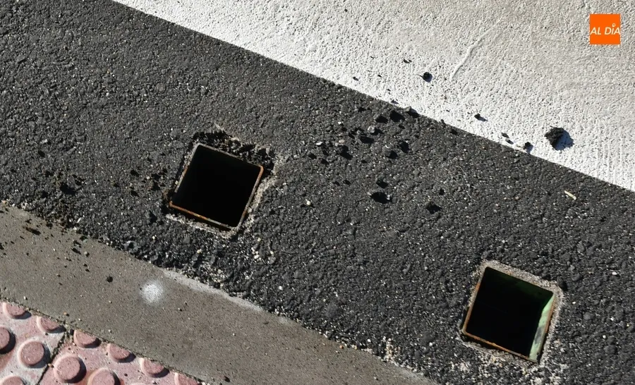 Foto 8 - La Avenida Conde de Fox&aacute; se empieza a poblar de agujas