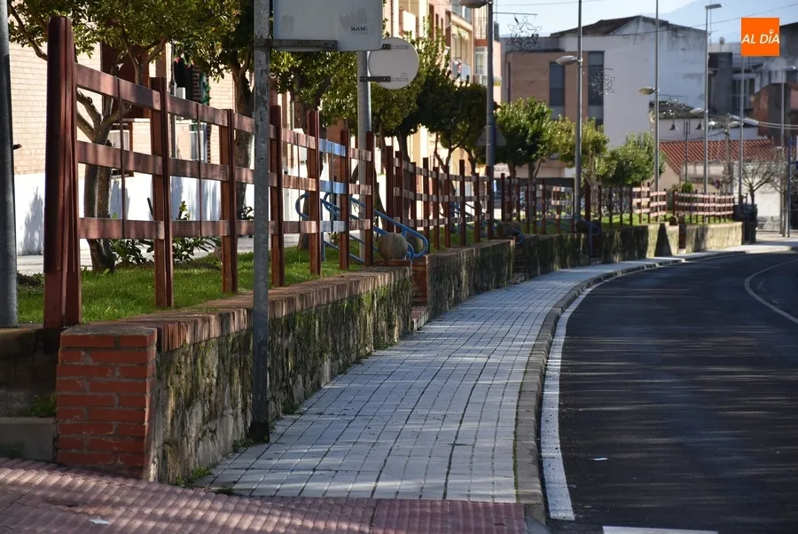 Foto 7 - La Avenida Conde de Fox&aacute; se empieza a poblar de agujas