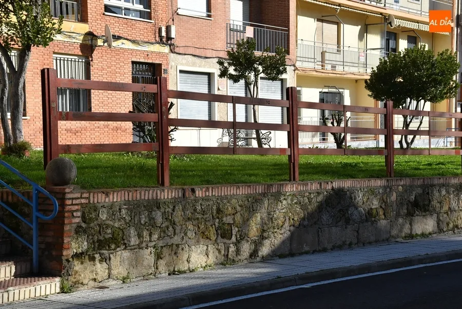 Foto 5 - La Avenida Conde de Fox&aacute; se empieza a poblar de agujas