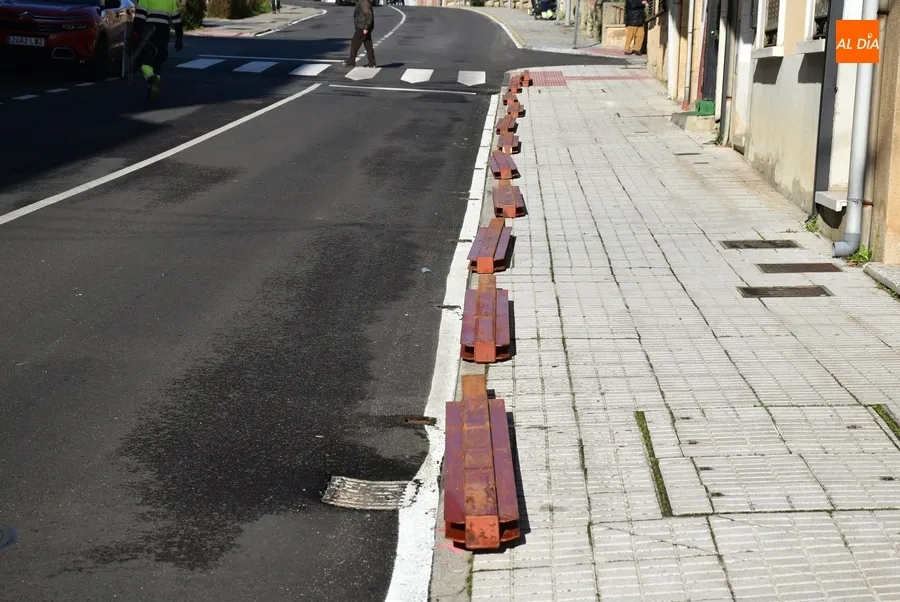 Foto 2 - La Avenida Conde de Fox&aacute; se empieza a poblar de agujas