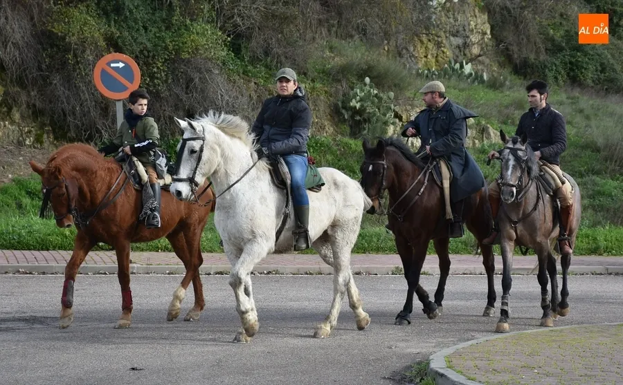 Foto 4 - M&aacute;s de 200 vacas y terneros cruzan Ciudad Rodrigo rumbo a Extremadura