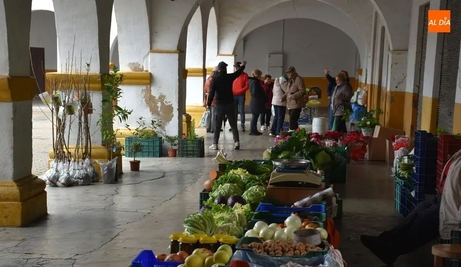 Foto 4 - A cubierto por la lluvia peri&oacute;dica la edici&oacute;n adelantada del Mercado de los Martes