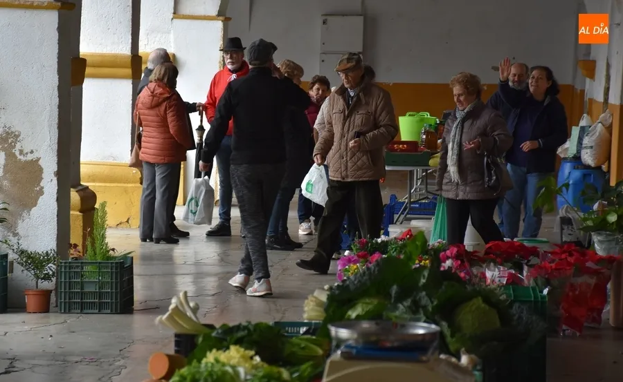 Foto 3 - A cubierto por la lluvia peri&oacute;dica la edici&oacute;n adelantada del Mercado de los Martes