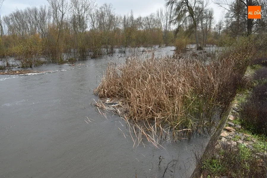 Foto 10 - El &Aacute;gueda sigue con un generoso caudal mientras que el pantano e Irue&ntilde;a rondan el 85% de capacidad