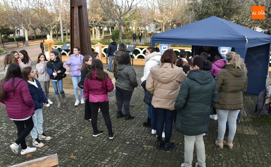 Foto 5 - En marcha la gran gymkana para conseguir Farinatis