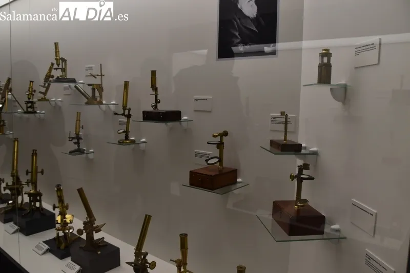 Colección de microscopios creada por Eliseo Carrascal. Fotos de Elena González