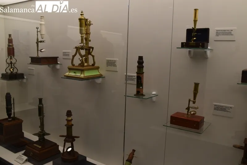 Colección de microscopios creada por Eliseo Carrascal. Fotos de Elena González