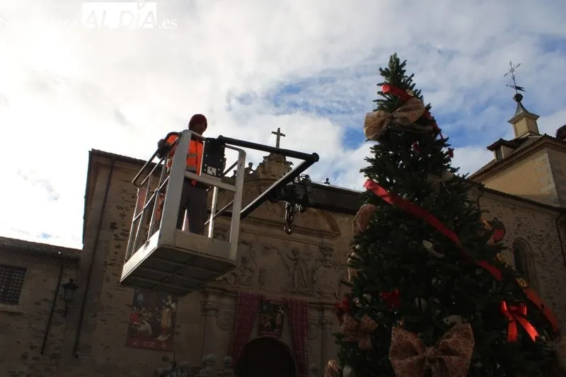 Foto 5 - El Ayuntamiento instala un &aacute;rbol de los deseos en la Plaza de Santa Teresa
