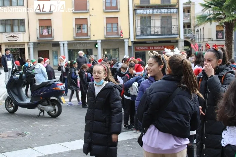 Foto 10 - El Colegio Santa Teresa celebra su propio d&iacute;a de fin de a&ntilde;o