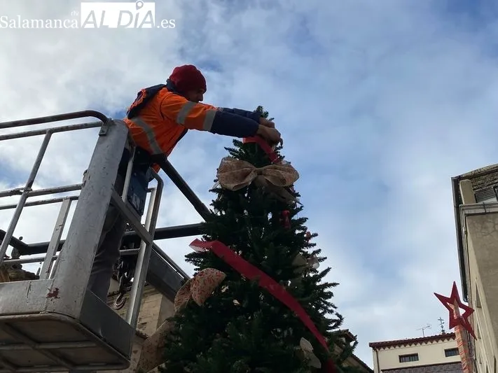 Foto 4 - El Ayuntamiento instala un &aacute;rbol de los deseos en la Plaza de Santa Teresa