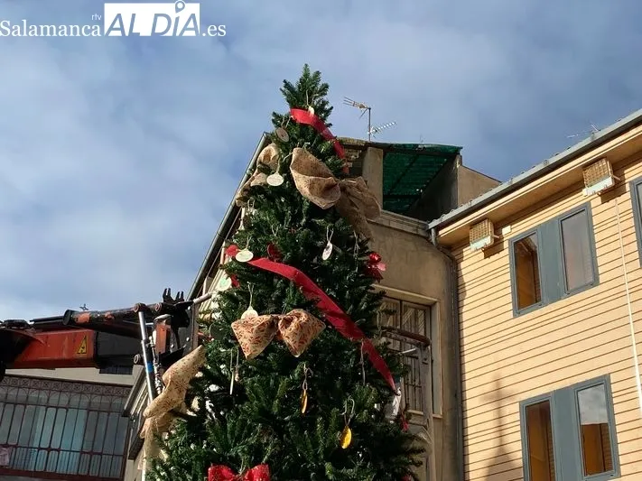 Foto 2 - El Ayuntamiento instala un &aacute;rbol de los deseos en la Plaza de Santa Teresa