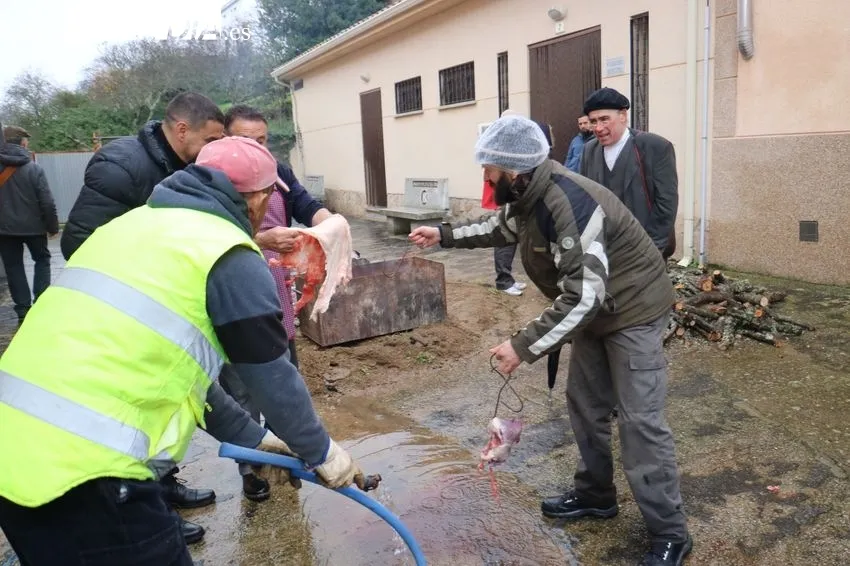 XII Matanza Tradicional de Saucelle / CORRAL