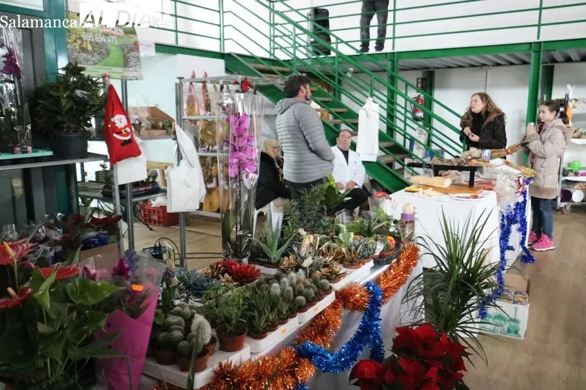 Vitigudino acogía este sábado una edición más del Mercadillo Navideño, aunque con escaso público 