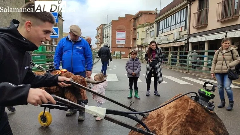 Encierros infantiles en Vitigudino / CORRAL