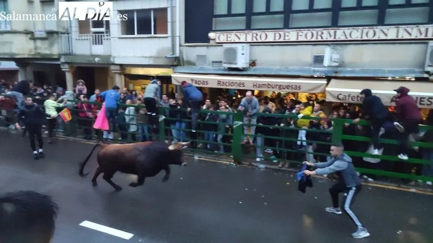 El II Toro de San Nicolás llena las calles de Vitigudino / CORRAL