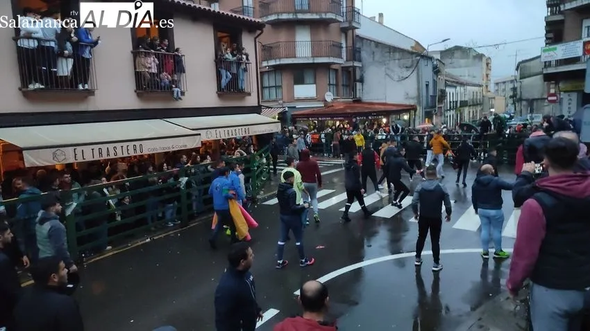 El II Toro de San Nicolás llena las calles de Vitigudino / CORRAL