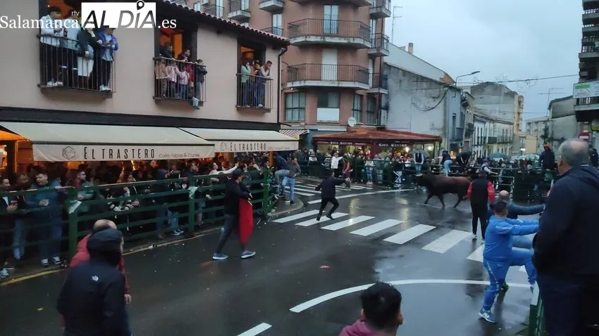 El II Toro de San Nicolás llena las calles de Vitigudino / CORRAL