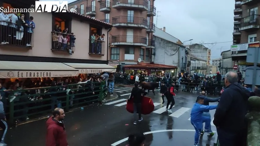 El II Toro de San Nicolás llena las calles de Vitigudino / CORRAL