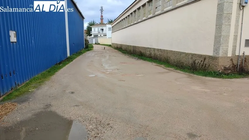 Estado en el que se encuentra la calle Rondín del Frontón de Pelota en Vitigudino / CORRAL