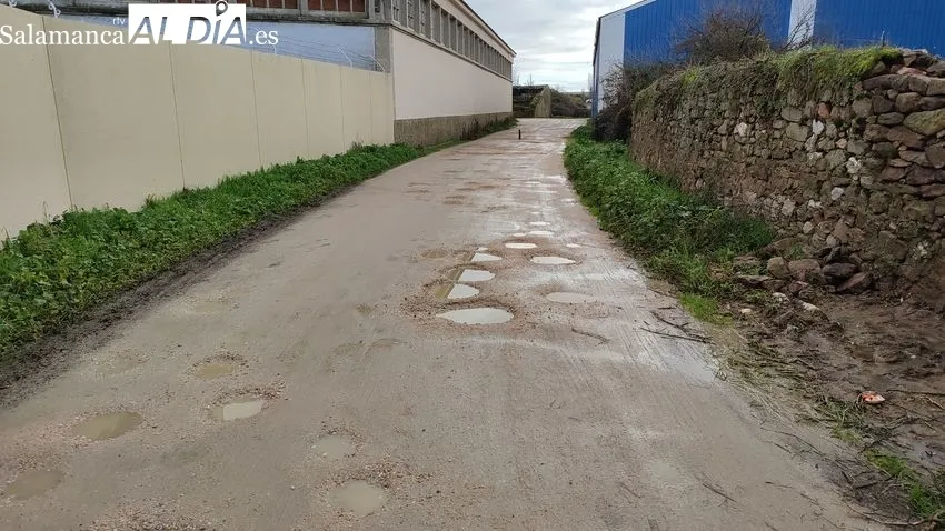 Estado en el que se encuentra la calle Rondín del Frontón de Pelota en Vitigudino / CORRAL