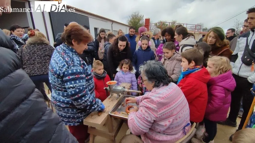 Barruecopardo celebra su Matanza Tradicional con un gran ambiente matancero / CORRAL