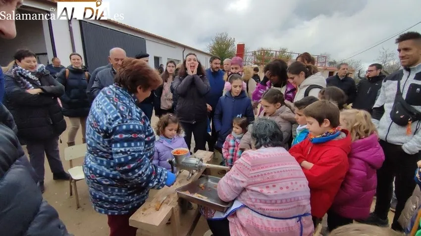Barruecopardo celebra su Matanza Tradicional con un gran ambiente matancero / CORRAL