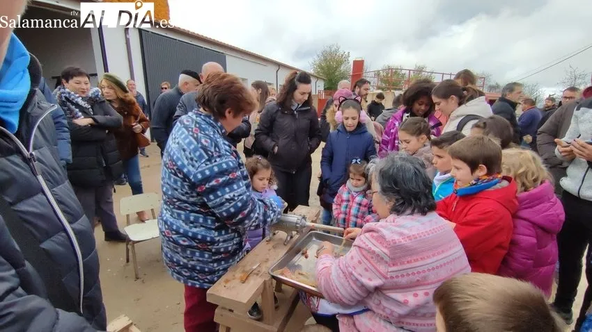 Barruecopardo celebra su Matanza Tradicional con un gran ambiente matancero / CORRAL