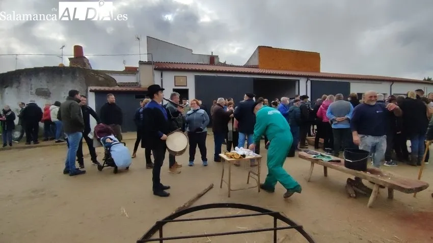 Barruecopardo celebra su Matanza Tradicional con un gran ambiente matancero / CORRAL