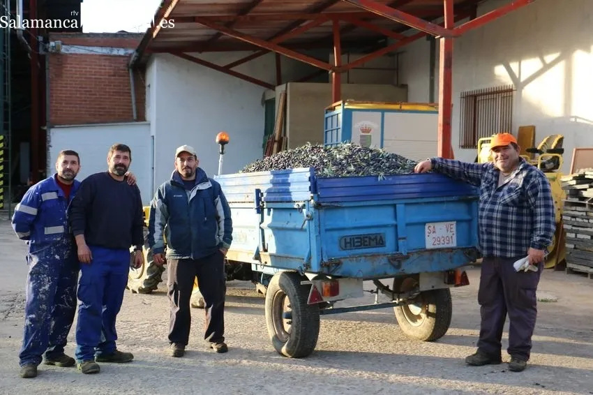 La almazara de Aldeadávila comenzaba la campaña el 23 de noviembre con nueva máquina para el molturado de la aceituna  / CORRAL