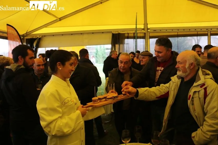Mañueco clausura la X Jornada Técnica de Vacuno de Carne de Dehesa Grande  
