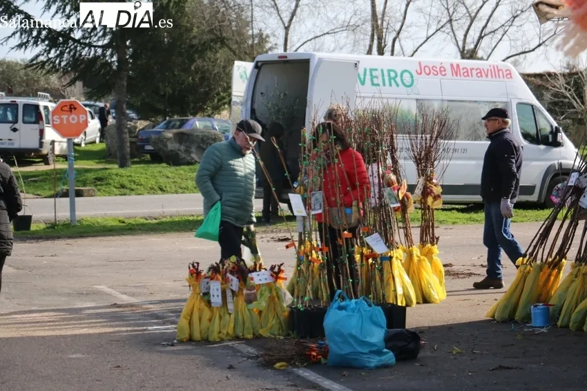 Poco público y menos puestos de los habituales en este mercadillo adelantado a este sábado, último día de 2022 / CORRAL