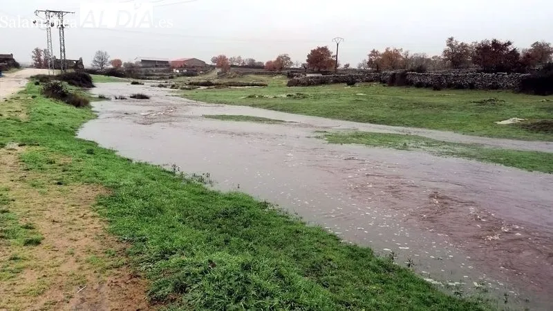 Un grupo de senderistas se animó a hacer la ruta a pesar de la climatología adversa