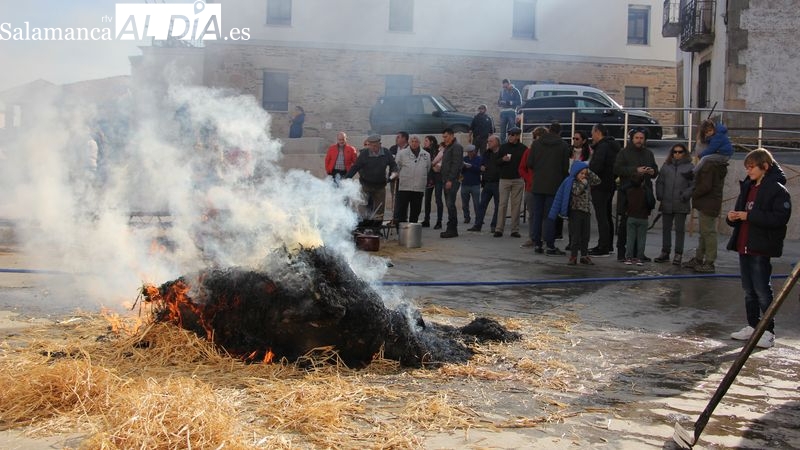 La Matanza tradicional tendrá lugar el 9 de diciembre y arrancará con el chamuscado del cerdo / CORRAL 