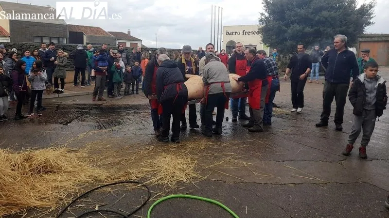 Foto 3 - Sobradillo revive la matanza tradicional con gran ambiente