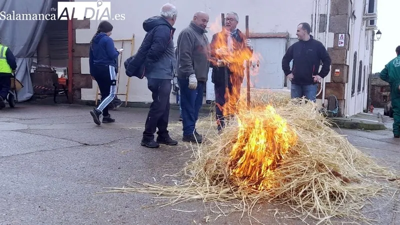Foto 7 - Sobradillo revive la matanza tradicional con gran ambiente