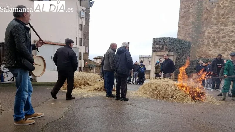 Foto 6 - Sobradillo revive la matanza tradicional con gran ambiente