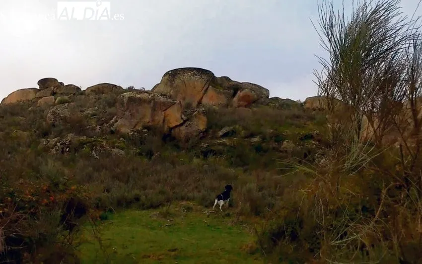 Tras las últimas perdices de las Arribes / CORRAL